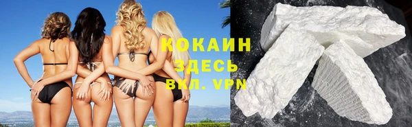 хмурый Гусь-Хрустальный