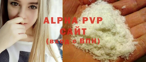 хмурый Гусь-Хрустальный