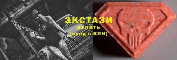 хмурый Гусь-Хрустальный