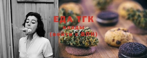 хмурый Гусь-Хрустальный