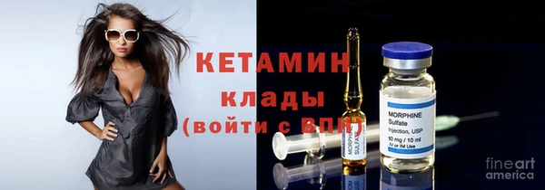 хмурый Гусь-Хрустальный