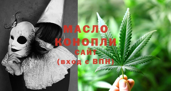 хмурый Гусь-Хрустальный