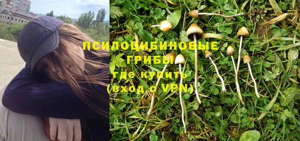 хмурый Гусь-Хрустальный