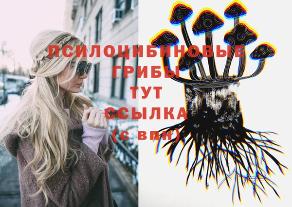 Альфа ПВП Гусиноозёрск