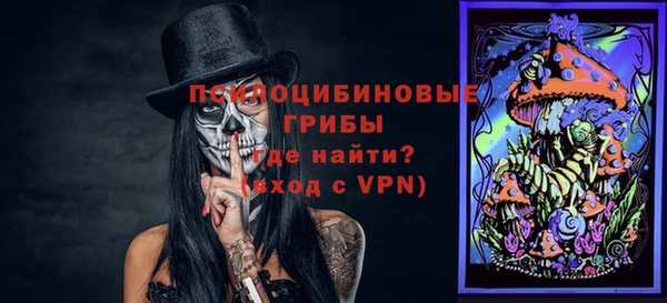 хмурый Гусь-Хрустальный