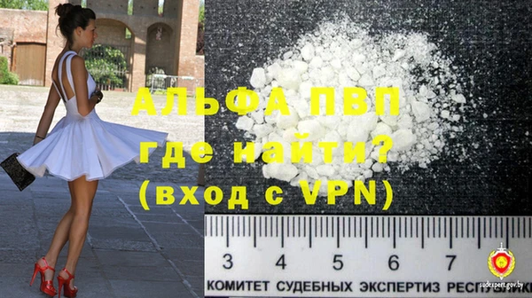 хмурый Гусь-Хрустальный