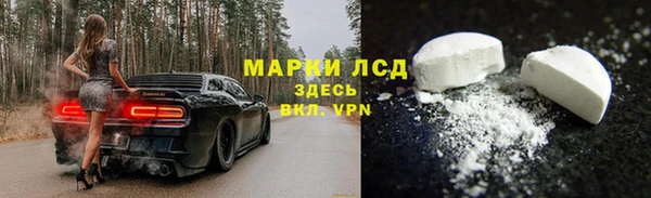хмурый Гусь-Хрустальный